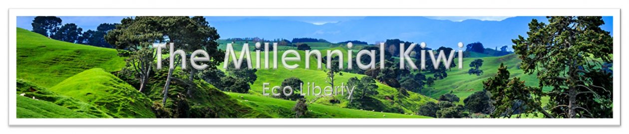 The Millennial Kiwi 